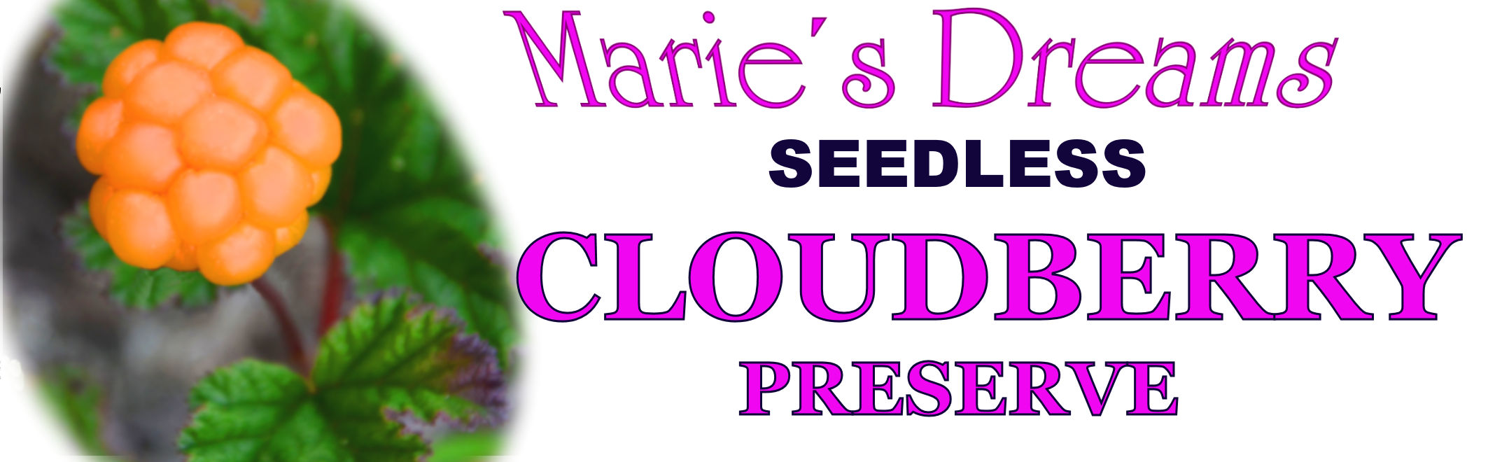 High Quality Seedless Cloudberry Preserve Marie&acute;s Dreams Gourmet Delicatessen Cloudberries
